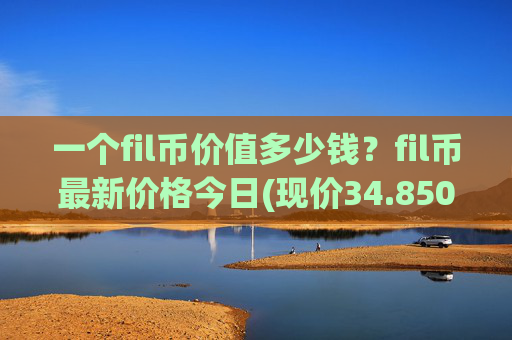 一个fil币价值多少钱?fil币最新价格今日(现价34.8505元)