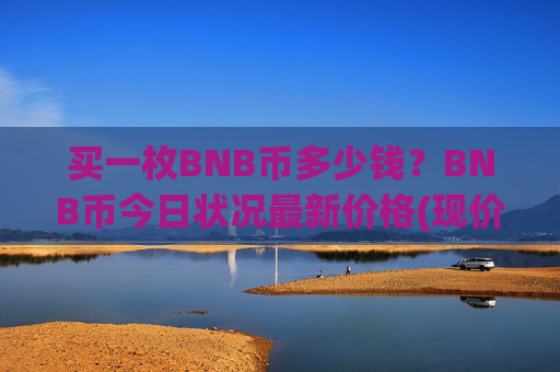 买一枚BNB币多少钱?BNB币今日状况最新价格(现价4793.18元)