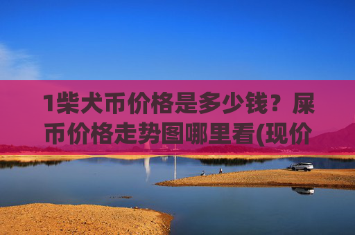 1柴犬币价格是多少钱?屎币价格走势图哪里看(现价0.00014893元)