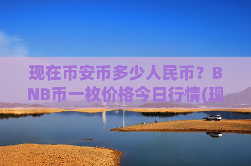 现在币安币多少人民币?BNB币一枚价格今日行情(现价4788.46元)