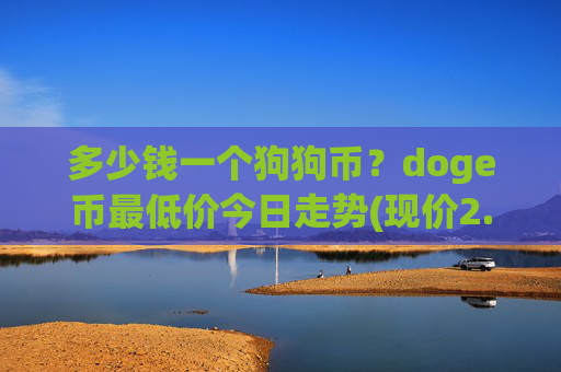 多少钱一个狗狗币？doge币最低价今日走势(现价2.1707元)