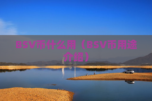 BSV币什么用(BSV币用途介绍)