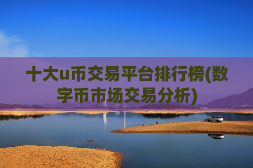 十大u币交易平台排行榜(数字币市场交易分析)