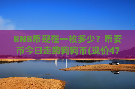BNB币现在一枚多少?币安币今日走势狗狗币(现价4778.11元)