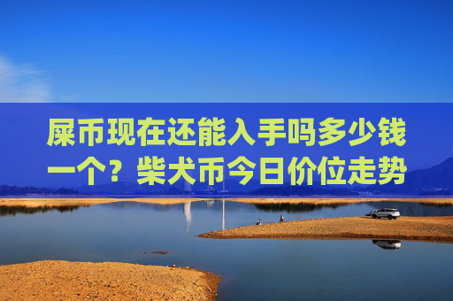 屎币现在还能入手吗多少钱一个？柴犬币今日价位走势图(现价0.00014984元)