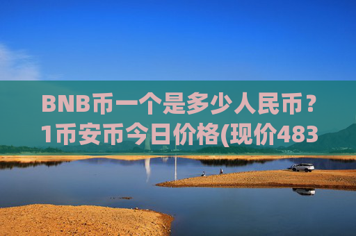 BNB币一个是多少人民币?1币安币今日价格(现价4835.2元)