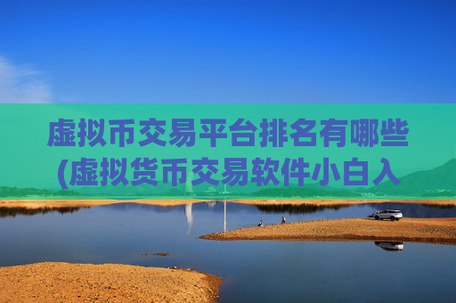 虚拟币交易平台排名有哪些(虚拟货币交易软件小白入门指南)