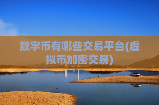 数字币有哪些交易平台(虚拟币加密交易)