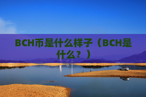 BCH币是什么样子（BCH是什么？）