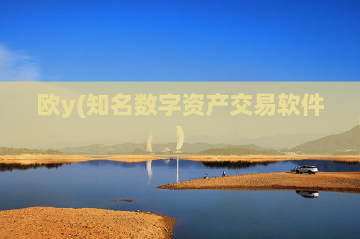 欧y(知名数字资产交易软件)