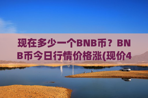现在多少一个BNB币?BNB币今日行情价格涨(现价4796.32元)