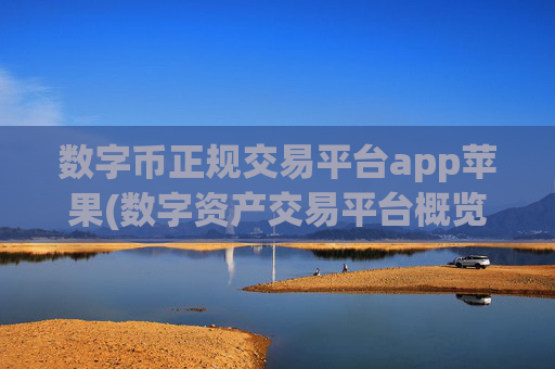 数字币正规交易平台app苹果(数字资产交易平台概览)