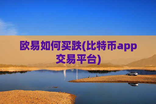 欧易如何买跌(比特币app交易平台)