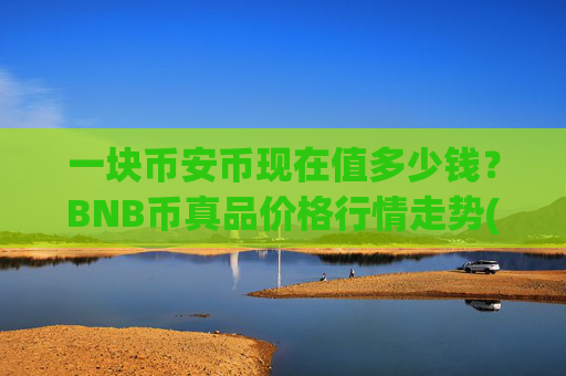 一块币安币现在值多少钱?BNB币真品价格行情走势(现价4901.12元)