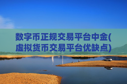 数字币正规交易平台中金(虚拟货币交易平台优缺点)