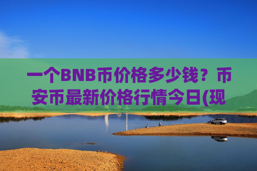一个BNB币价格多少钱?币安币最新价格行情今日(现价4882.38元)