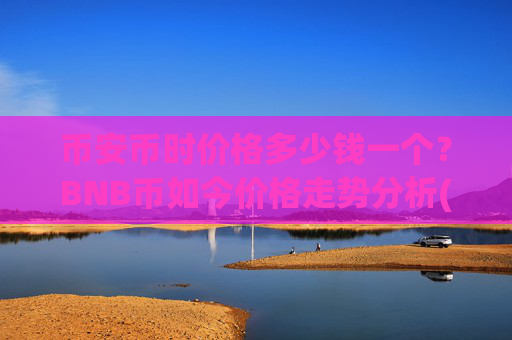 币安币时价格多少钱一个?BNB币如今价格走势分析(现价4890.69元)
