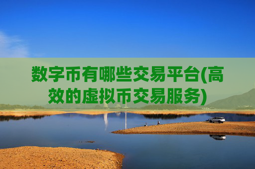 数字币有哪些交易平台(高效的虚拟币交易服务)