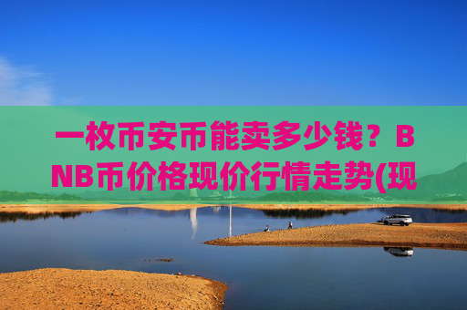 一枚币安币能卖多少钱？BNB币价格现价行情走势(现价4877.52元)