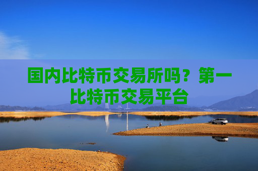 国内比特币交易所吗?第一比特币交易平台