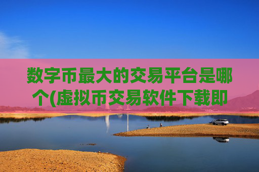 数字币最大的交易平台是哪个(虚拟币交易软件下载即用)