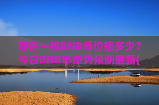 现在一枚BNB币价格多少？今日BNB币走势预测最新(现价4879.93元)