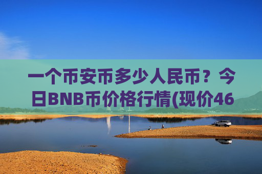 一个币安币多少人民币？今日BNB币价格行情(现价4691.93元)