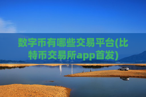 数字币有哪些交易平台(比特币交易所app首发)