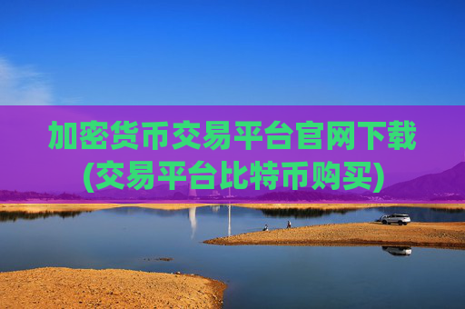 加密货币交易平台官网下载(交易平台比特币购买)