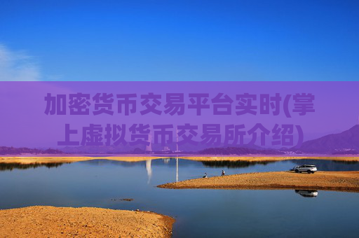 加密货币交易平台实时(掌上虚拟货币交易所介绍)