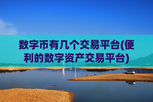 数字币有几个交易平台(便利的数字资产交易平台)