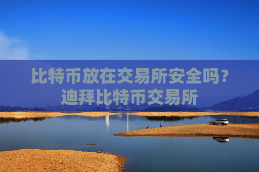 比特币放在交易所安全吗?迪拜比特币交易所