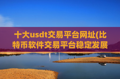 十大usdt交易平台网址(比特币软件交易平台稳定发展)