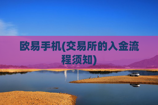 欧易手机(交易所的入金流程须知)