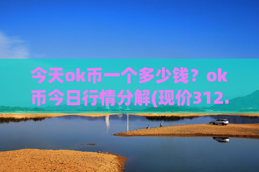 今天ok币一个多少钱?ok币今日行情分解(现价312.657元)