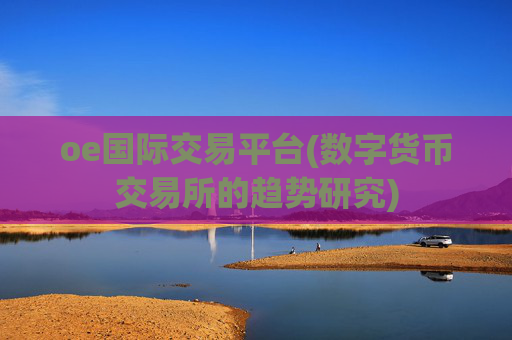 oe国际交易平台(数字货币交易所的趋势研究)