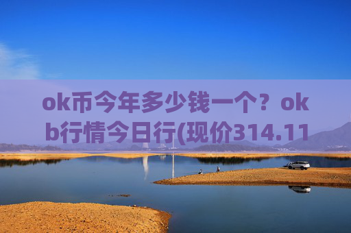 ok币今年多少钱一个?okb行情今日行(现价314.113元)
