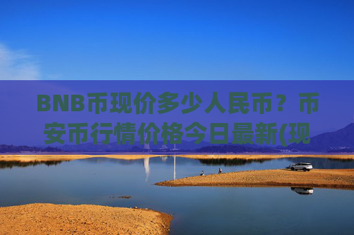 BNB币现价多少人民币?币安币行情价格今日最新(现价4634.07元)