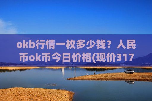 okb行情一枚多少钱？人民币ok币今日价格(现价317.884元)