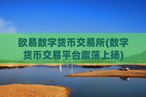 欧易数字货币交易所(数字货币交易平台震荡上扬)