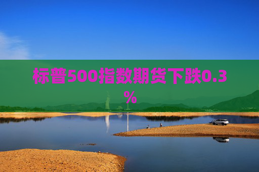 标普500指数期货下跌0.3%