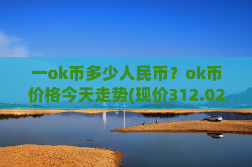 一ok币多少人民币？ok币价格今天走势(现价312.021元)