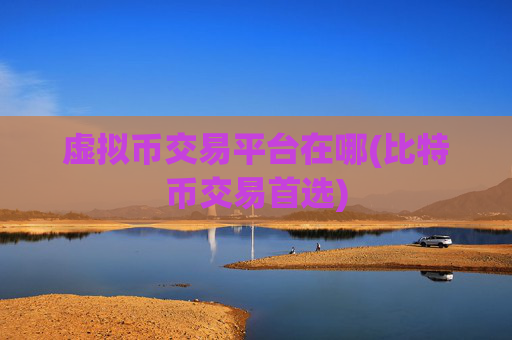 虚拟币交易平台在哪(比特币交易首选)