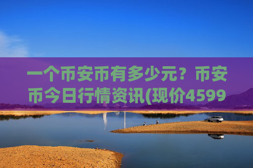 一个币安币有多少元?币安币今日行情资讯(现价4599.9元)