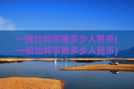 一枚比特币换多少人民币(一枚比特币换多少人民币)