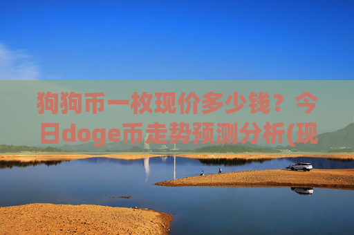 狗狗币一枚现价多少钱?今日doge币走势预测分析(现价2.1734元)