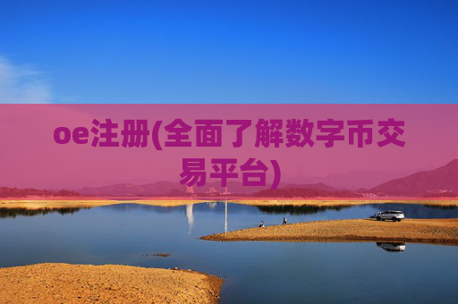 oe注册(全面了解数字币交易平台)