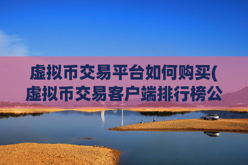 虚拟币交易平台如何购买(虚拟币交易客户端排行榜公布)