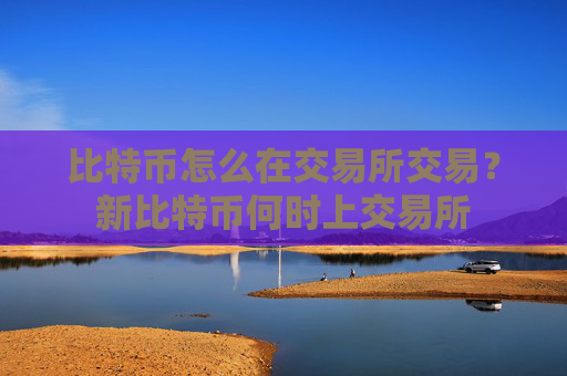 比特币怎么在交易所交易?新比特币何时上交易所