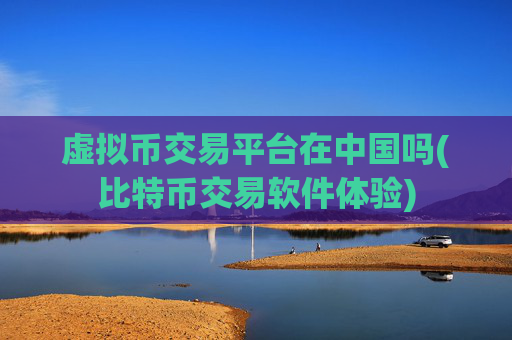 虚拟币交易平台在中国吗(比特币交易软件体验)